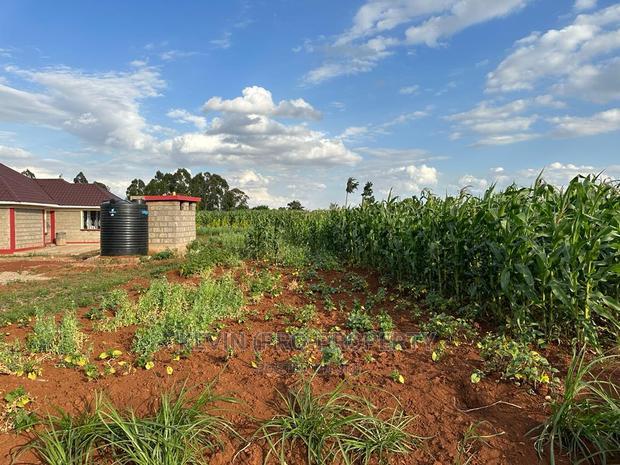 Residential 1/8 Acre Plots for Sale in Kikuyu, Rose Gate.