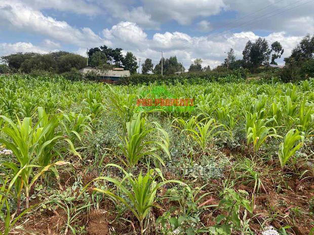 Plot for Sale on Tarmac in Kikuyu, Thigio.