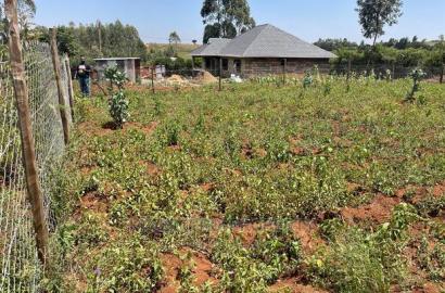 Residential 1/8 Acre Plot In Kikuyu, Gikambura. For Sale