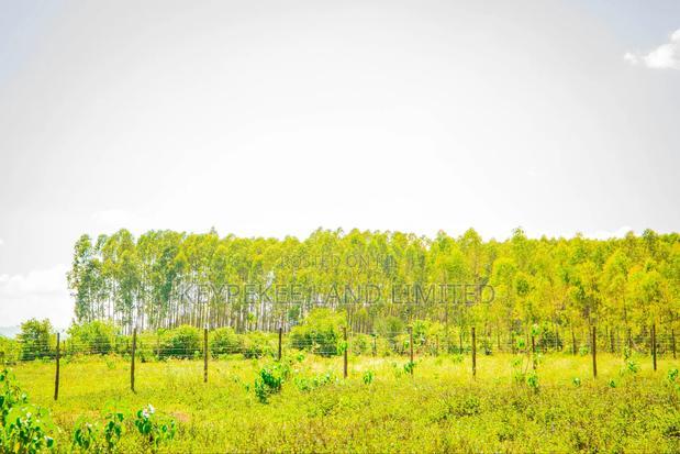Residential Plots in Kisumu