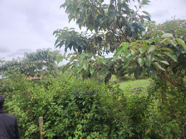 One Acre in Rimpa Area