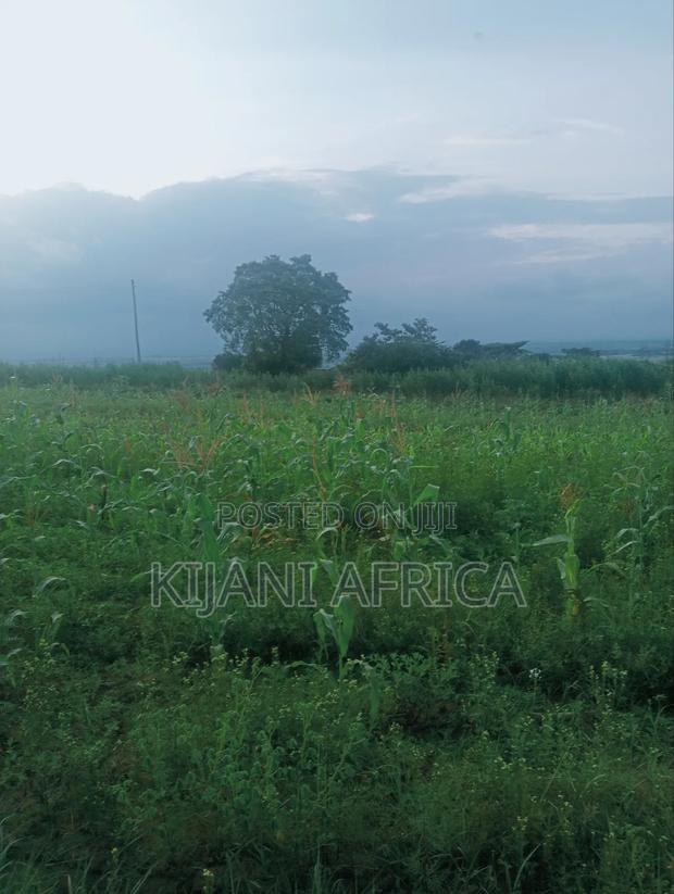 50 by 100 Plots in Kbc,Malaa With a Hill Vintage Point