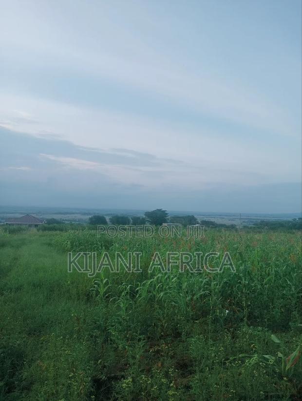 50 by 100 Plots in Kbc,Malaa With a Hill Vintage Point