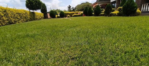 4bdrm Maisonette in Thika for rent