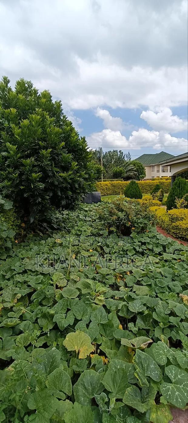 4bdrm Maisonette in Thika for rent