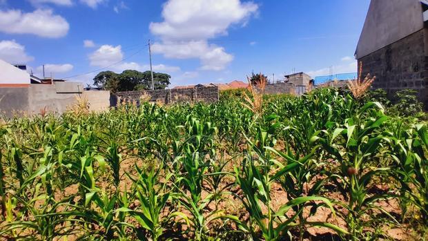 Thika Muguga Plots for Sale