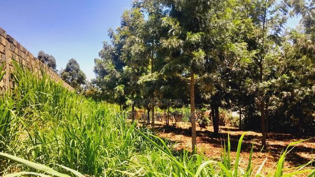 Plots for Sale in Kikuyu Thamanda Waiyaki Way