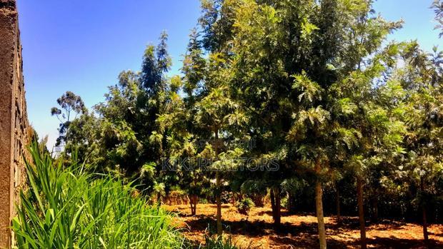 Plots for Sale in Kikuyu Thamanda Waiyaki Way