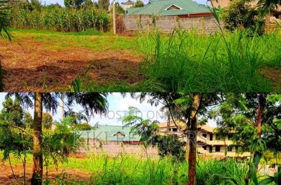 Kikuyu Thamanda Prime Plot