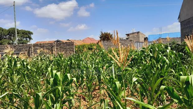 Thika Muguga Plots for Sale