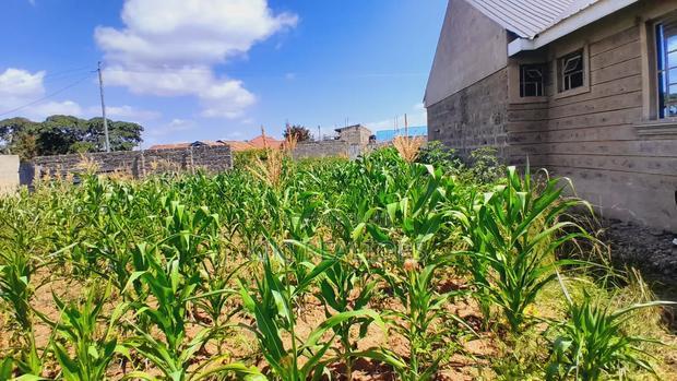 Thika Muguga Plots for Sale