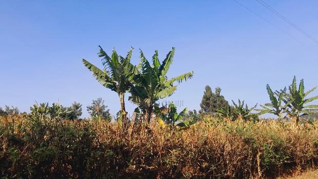 Kerwa Kikuyu Plots for Sale