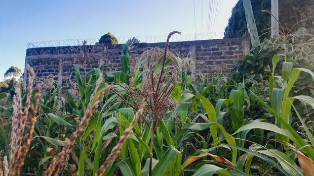 Kahuho Plot for Sale