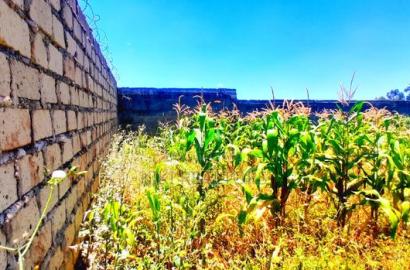 Kikuyu Thogoto Plots for Sale(Maiihi)