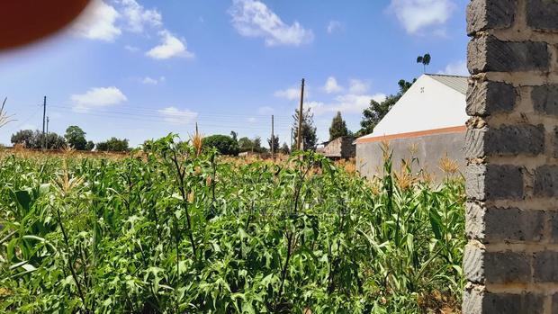 Thika Muguga Plots for Sale