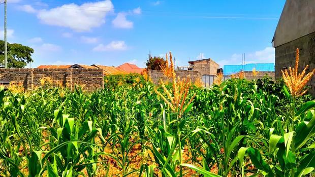 Thika Muguga Plots for Sale