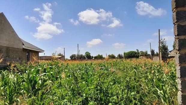 Thika Muguga Plots for Sale