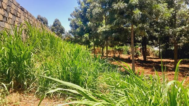 Plots for Sale in Kikuyu Thamanda Waiyaki Way