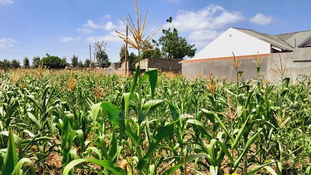 Thika Muguga Plots for Sale