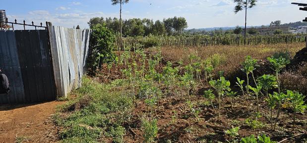 Prime Plot for Sale in Kapsoya Deligacy in Eldoret
