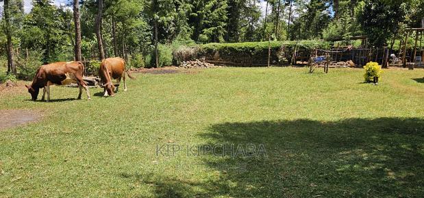 3bdrm Farm House in Kapseret for sale