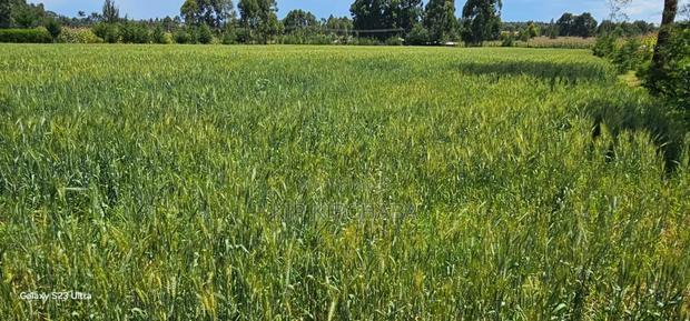 2.5 Acres Fully Arable for Sale in Kiplombe in Eldoret Kiili