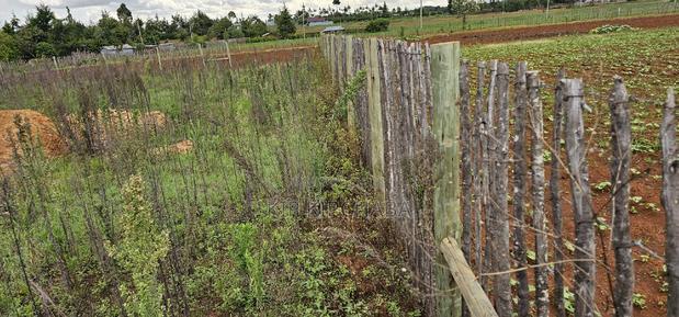 1/4 Plot for Sale in Kaptuli Chembulet Dispensary Eldoret