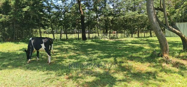 3bdrm Bungalow in Kericho Ndogo, Kapseret for sale