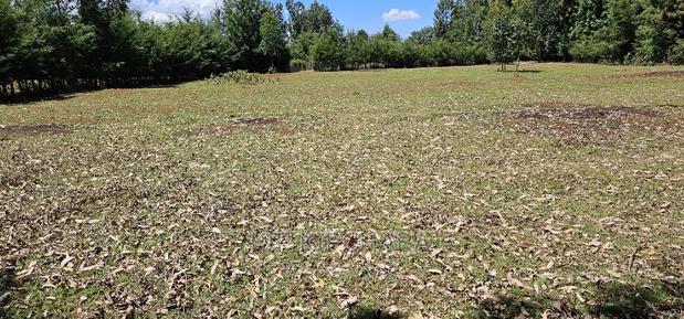 Plots for Sale in Racecours Borderingelgonview in Eldoret