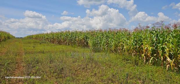Prime Plots for Sale in Illula Limo in Eldoret