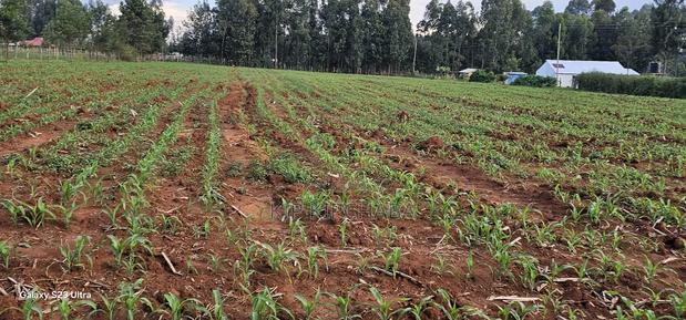 2 Acres for Sale in Say Eldoret