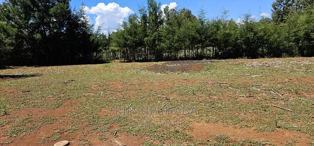 Plots for Sale in Racecours Borderingelgonview in Eldoret
