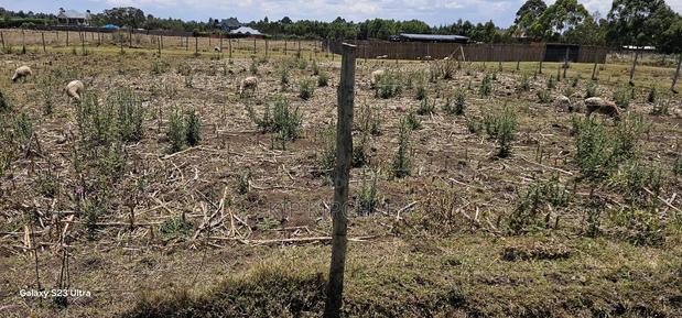 Prime Plot for Sale in Royalton Annex Eldoret