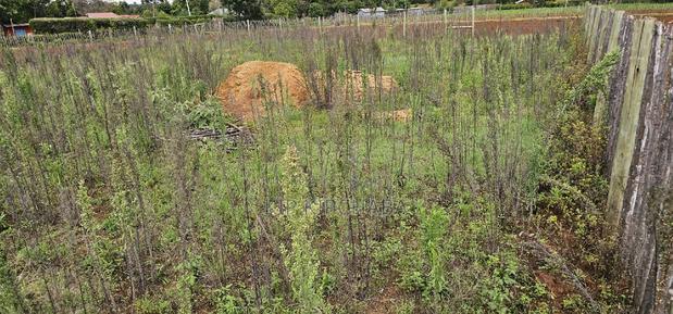 1/4 Plot for Sale in Kaptuli Chembulet Dispensary Eldoret