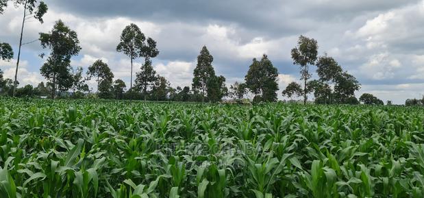 1 Acre Land for Sale in Plateau Kileges in Eldoret