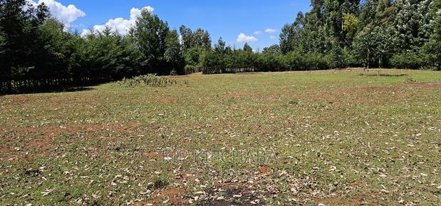 Plots for Sale in Racecours Borderingelgonview in Eldoret