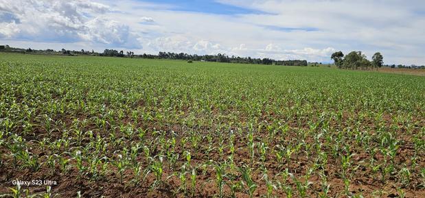 4 Acres for Sale in Kapropu Eldoret Fully Arable