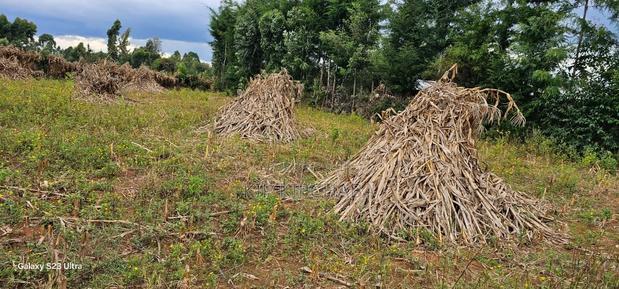 1/4 Plot For Sale In Kiplombe Eldoret