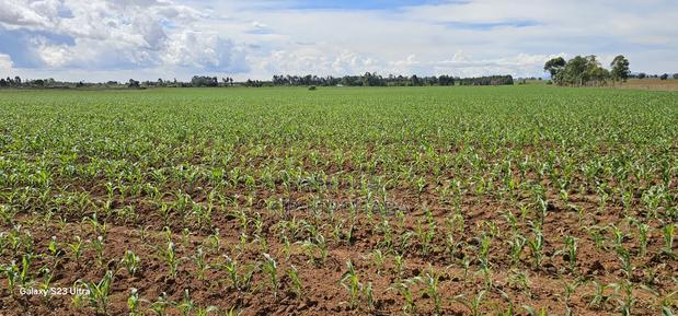 4 Acres for Sale in Kapropu Eldoret Fully Arable