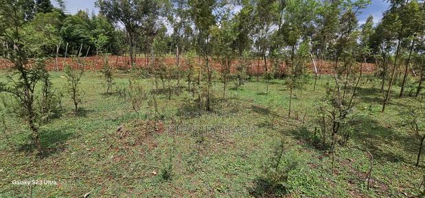 1 Acre for Sale in Mlango Near Ngara Falls Kapseret Eldoret