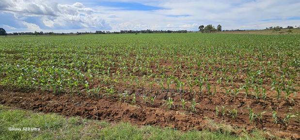 4 Acres for Sale in Kapropu Eldoret Fully Arable