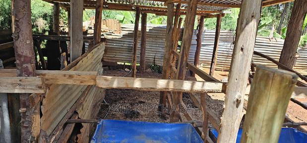 3bdrm Farm House in Kapseret for sale