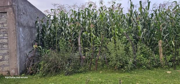 Commercial 1/4 Plot for Sale in Annex Eldoret