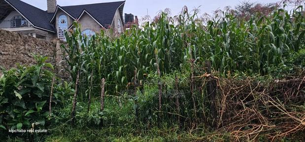 1/4 Plot for Sale in Hillside Eldoret