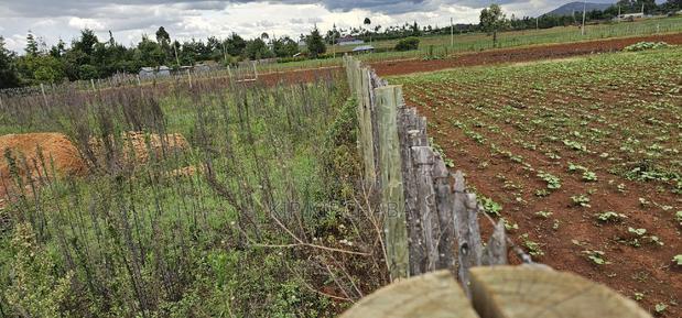 1/4 Plot for Sale in Kaptuli Chembulet Dispensary Eldoret