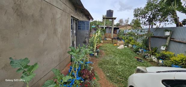 3bdrm House in Annex, Racecourse for sale