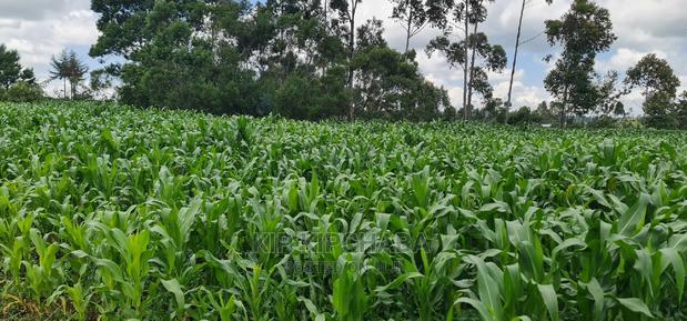 1 Acre Land for Sale in Plateau Kileges in Eldoret
