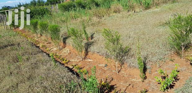 Residential Plots for Sale in Kapjagir in Eldoret