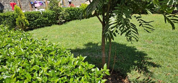 5bedroom Mansion for Sale in Elgonview Eldoret