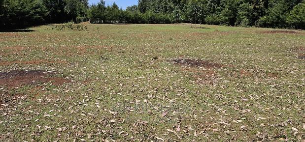 Plots for Sale in Racecours Borderingelgonview in Eldoret